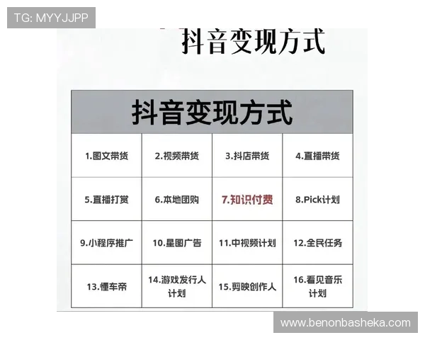 太阳娱乐mcn平台如何帮助内容创作者实现快速变现与粉丝增长的实用策略
